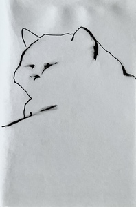 Кот
