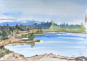 Токсовский карьер. Этюд