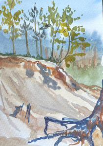 Токсовский карьер. Этюд №2