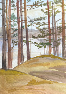 Сосновый бор