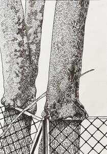 Серия "Смоленское кладбище" 4/6