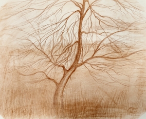 Дерево в поле