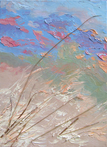 Травы на закате