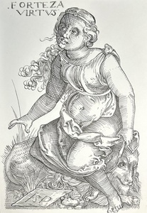 Сила добродетельная