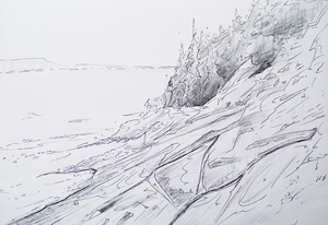 Береговой пейзаж