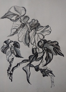 Листья 