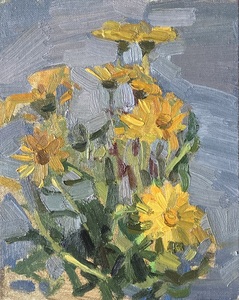 Календула 