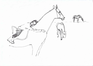 Ребёнок и лошадь 